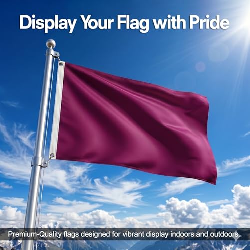 DMSE Solid Magenta Flag, 3x5 Flag, UV Resistant, Fade Resistant Material with Metal Grommets (3ft x 5ft), (Polyester), (Magenta) - color: Magenta, size: Polyester (3 x 5 ft)