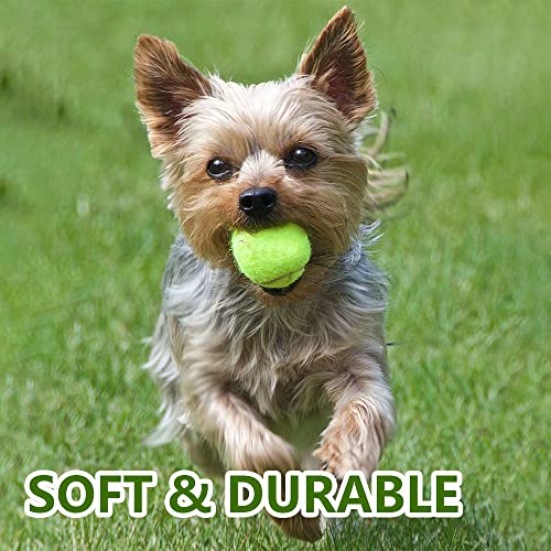 Pet Ball for Dog Small 2inch Pet Toy Tennis Balls for Pet Puppy Tiny Small Dogs Fetching Exercise & Training (16 Pack)