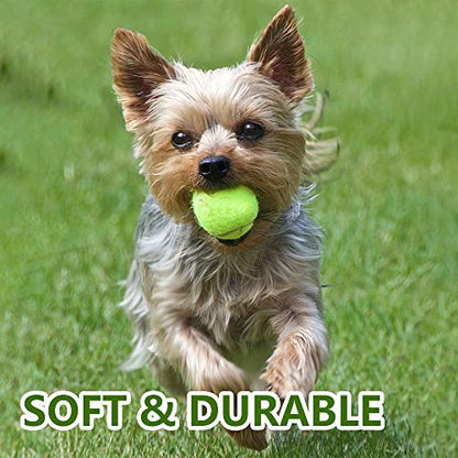 Pet Ball for Dog Small 2inch Pet Toy Tennis Balls for Pet Puppy Tiny Small Dogs Fetching Exercise & Training (16 Pack)