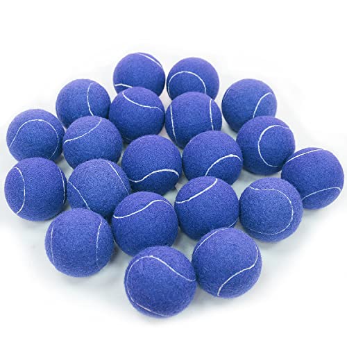 URBEST Advanced Tennis Ball 20 Packs, Training Tennis Balls Practice Balls for Novice Player, Pet Dog Playing Balls with Mesh Carry Bag for Beginner Training Ball - color: Blue