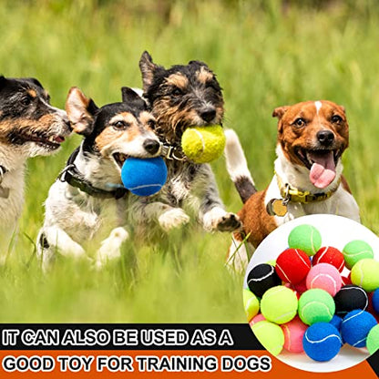 Sumind 60 Pcs Tennis Balls Bulk Standard Tennis Training Ball Tennis Practice Balls PET Dog Playing Balls Tennis Accessories for Beginner Practice Training Sports, 6 Colors