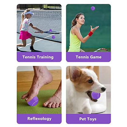 URBEST Tennis Ball 12 Packs Training Tennis Balls Practice Balls for Novice Player, Pet Dog Playing Balls with Mesh Carry Bag - color: Purple