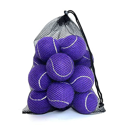 Tennis Balls, 15 Pack Practice Tennis Ball for Beginners, Training Playing Tennis Balls for Dogs, Come with Mesh Carry Bag - color: Purple