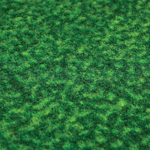 FANMATS 39246 University of Mount Union Putting Green Mat