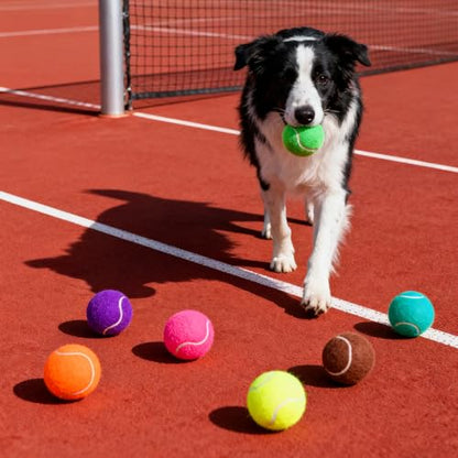 PoyPet 16-Pack Tennis Balls Bulk for Practice,Training and Beginners | Ideal for Dog Fetch,Chew and Play - color: Mix Colors
