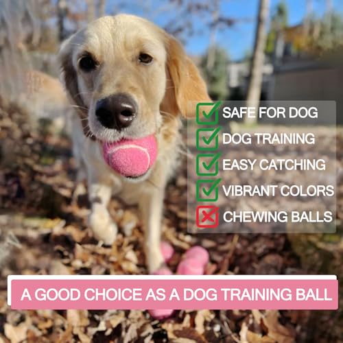INSUM Bulk Tennis Balls for Beginner – 12 Pack High Elasticity Practice Tennis Balls with Mesh Bag, Suit for Pet Dog Training, Fetching - color: Pink