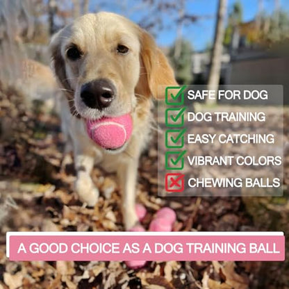INSUM Bulk Tennis Balls for Beginner – 12 Pack High Elasticity Practice Tennis Balls with Mesh Bag, Suit for Pet Dog Training, Fetching - color: Pink