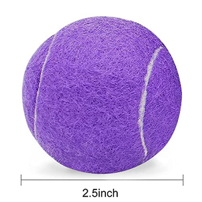 URBEST Tennis Ball 12 Packs Training Tennis Balls Practice Balls for Novice Player, Pet Dog Playing Balls with Mesh Carry Bag - color: Purple