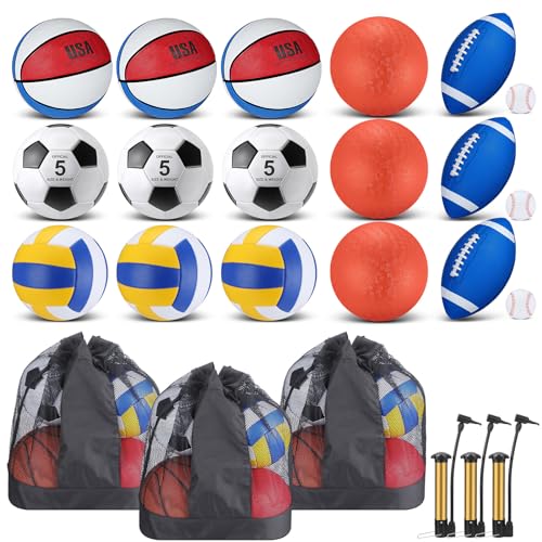 Leyndo 18 Pcs Sport Balls Bulk Set Basketball Football Volleyball Soccer Playground Baseball with Sport Equipment Bag Pump for Adults Gifts Outdoor Indoor - color: Blue