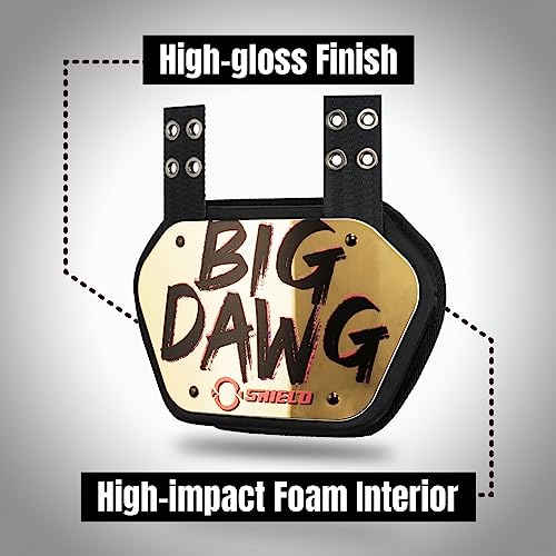 O Shield Golden Cross Chrome Football Back Plate, Lower Back Pads for Football Players, Rear Protector, Cross Series - size: Adult (Weight more than 180 Pounds), style: Big Dawg