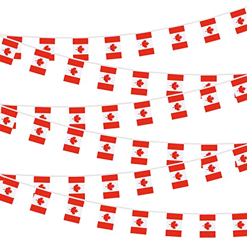 Canada Canadian Small Mini String Banner Flags Miniature Canada Banners For Grand Opening,Grand Opening Sports Celebration Decorations (50 Feet 38 Flags) - color: Canada