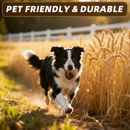 PoyPet 16-Pack Tennis Balls Bulk for Practice,Training and Beginners | Ideal for Dog Fetch,Chew and Play - color: Brown