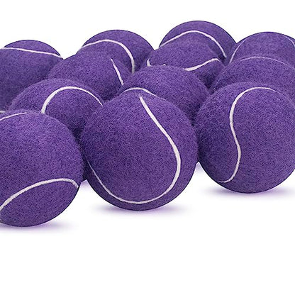 SUNEZLGO 12 Pack Tennis Balls, Advanced Pressure Training Tennis Balls Practice Balls, Tennis Balls for Dogs, Thickened Tennis with Mesh Bag for Transport, Beginner Exercise Ball, Sturdy High Elastic - color: Purple