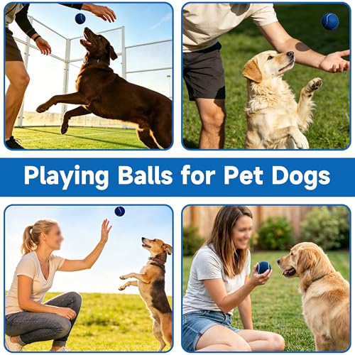 Tennis Balls, 4 Pack Training Tennis Balls – Practice Balls for Beginners & Playing Balls for Dogs - color: Navy
