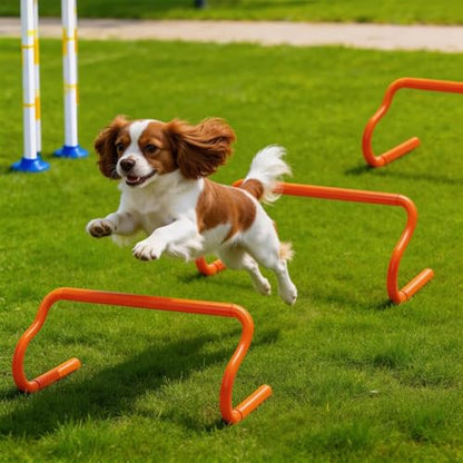 Eorbow 10 Pack 9" Agility Hurdles, Plastic Speed Agility Training Hurdle, Detachable Sturdy Plyometric Hurdles, Training Equipment Set with Carry Bag for Football, Soccer, Basketball, Athletes