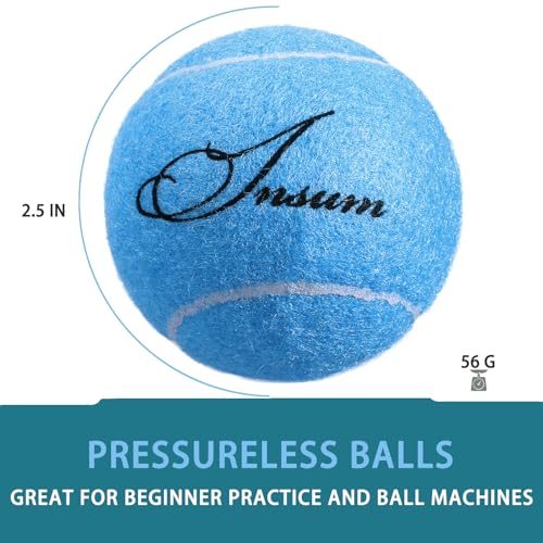 INSUM Bulk Tennis Balls for Beginner – 12 Pack High Elasticity Practice Tennis Balls with Mesh Bag, Suit for Pet Dog Training, Fetching - color: Light Blue