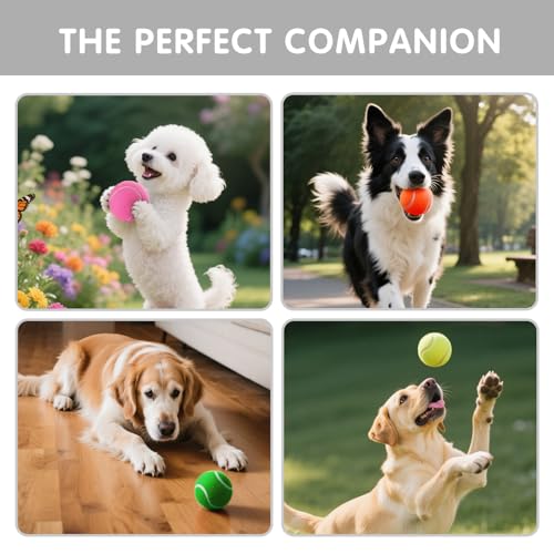 PHOEPET 6-Pack Tennis Balls for Beginner Training Practice- Bulk Dog Balls for Fetch Chew Toys(Mix Colors)