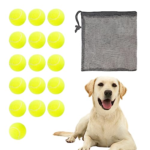Pet Ball for Dog Small 2inch Pet Toy Tennis Balls for Pet Puppy Tiny Small Dogs Fetching Exercise & Training (16 Pack)