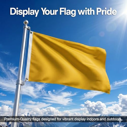 DMSE Solid Gold Flag, 2x3 Flag, UV Resistant, Fade Resistant Material with Metal Grommets (2ft x 3ft), (Nylon), (Gold) - color: Gold, size: Nylon (2 x 3 ft)