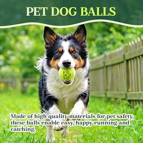 Personalized Tennis Ball, Gifts for Tennis Lovers, Custom Name Tennis Ball, Pet Playing Balls, Training & Practice Balls for Beginners, Tennis Players, Tennis Coach, Birthday Xmas Gifts