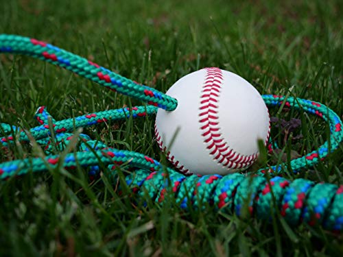 The Original Hitting Rope Baseball Adjustable Batting Training System - Combines Tee and Front Toss Into One Easy Drill - Develop Better Hitting Skills