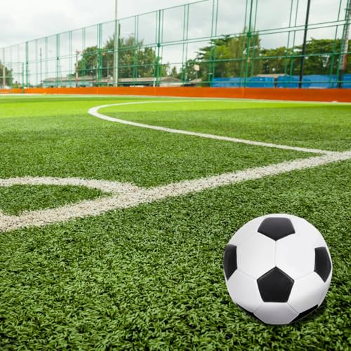 Toddmomy Size 5 Training Soccer Ball, Pu Machine Stitched, Outdoor Youth Football for Boys and Teens, Durable Practice Game Ball