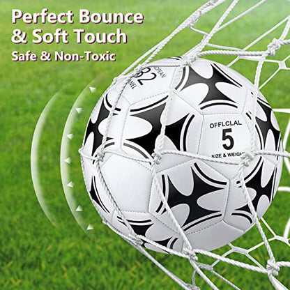 Tradder 4 Pack Soccer Ball with Pump Size 3 4 5 Deflated Soccer Ball for Outdoor Indoor Game Sport Practice Training Gift for Kid Youth Teen Adult Charity Donation - size: Size 4, style: Iris Laevigata Style