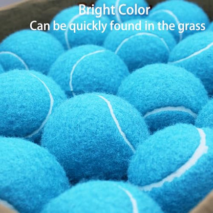 SHYUJAJIE Tennis Balls, 40 Pack Training Tennis Balls,High Elasticity Practice Tennis for Beginner, Exercise Playing Balls for Pet Dog - color: Light Blue