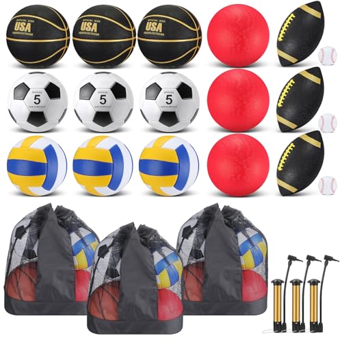 Leyndo 18 Pcs Sport Balls Bulk Set Basketball Football Volleyball Soccer Playground Baseball with Sport Equipment Bag Pump for Adults Gifts Outdoor Indoor - color: Black