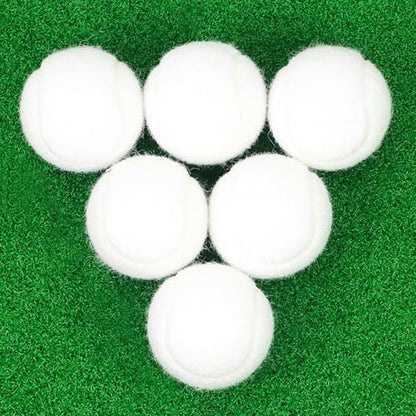 Tennis Balls, 6 Pack High Elasticity Practice Tennis Balls with Mesh Bag, Ideal for Beginner, Exercise Playing Balls for Pet Dog