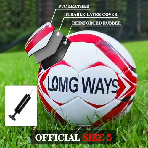LOMGWAYS Soccer Goal – Foldable Frame Net for Kids + Youth – Indoor + Outdoor Soccer Goal with Carry Bag – Easy Set up – Multiple Sizes for Practice & Games - size: 4x3FT(Size 5 Ball)