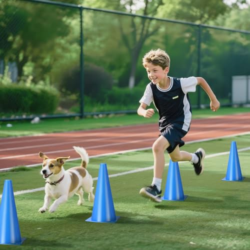 12 Inch Durable Cones,12pcs Versatile Plastic Traffic Cones and Soccer Cones for Sports Training,Agility Drills,Parking Safety,Basketball Training,Football Training. - color: blue