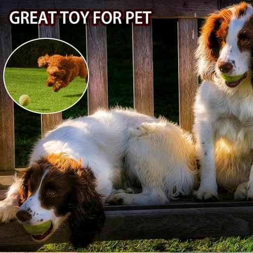 SHYUJAJIE Tennis Balls, 90 Pack Training Tennis Balls Bulk, High Elasticity Practice Tennis for Beginner, Exercise Playing Balls for Pet Dog