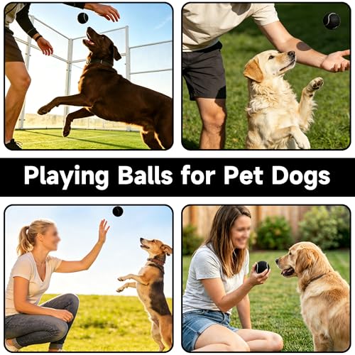 Tennis Balls, 4 Pack Training Tennis Balls – Practice Balls for Beginners & Playing Balls for Dogs - color: Black