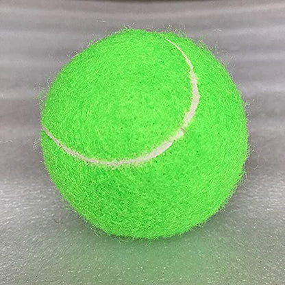 URBEST Tennis Ball 12 Packs Training Tennis Balls Practice Balls for Novice Player, Pet Dog Playing Balls with Mesh Carry Bag - color: Light Green