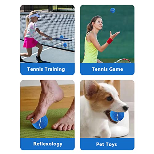 URBEST Tennis Ball 12 Packs Training Tennis Balls Practice Balls for Novice Player, Pet Dog Playing Balls with Mesh Carry Bag - color: Navy Blue