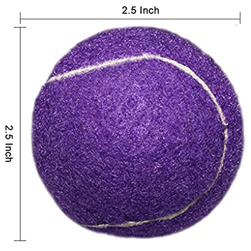 URBEST Advanced Tennis Ball 20 Packs, Training Tennis Balls Practice Balls for Novice Player, Pet Dog Playing Balls with Mesh Carry Bag for Beginner Training Ball - color: Purple