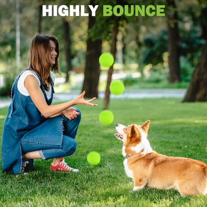 FURWEY Tennis Balls, 12/24/36/80 Pack Bulk Tennis Balls Pressureless Tennis Ball, Come with Mesh Bag for Easy Transport,Pet Dog Playing Balls, Good for Beginner Training Ball - size: 36P