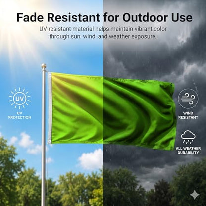 DMSE Solid Magenta Flag, 2x3 Flag, UV Resistant, Fade Resistant Material with Metal Grommets (2ft x 3ft), (Polyester), (Neon Green) - color: Neon Green, size: Polyester (2 x 3 ft)