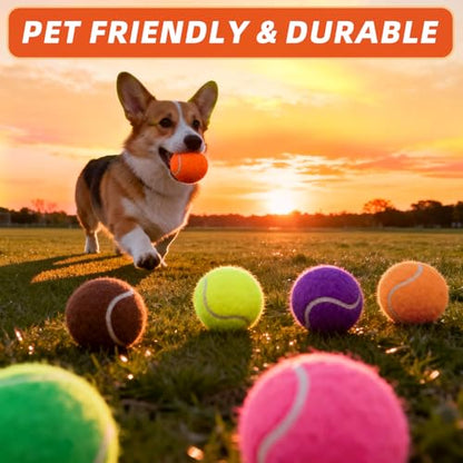 PoyPet 16-Pack Tennis Balls Bulk for Practice,Training and Beginners | Ideal for Dog Fetch,Chew and Play - color: Mix Colors