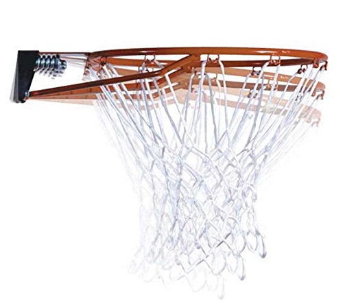 Lifetime Outdoor Basketball Hoop - 52 in Shatterproof Backboard, Adjustable