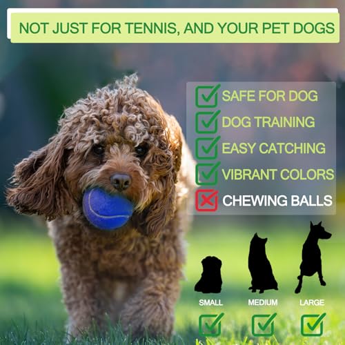 INSUM Bulk Tennis Balls for Beginner – 12 Pack High Elasticity Practice Tennis Balls with Mesh Bag, Suit for Pet Dog Training, Fetching - color: Blue