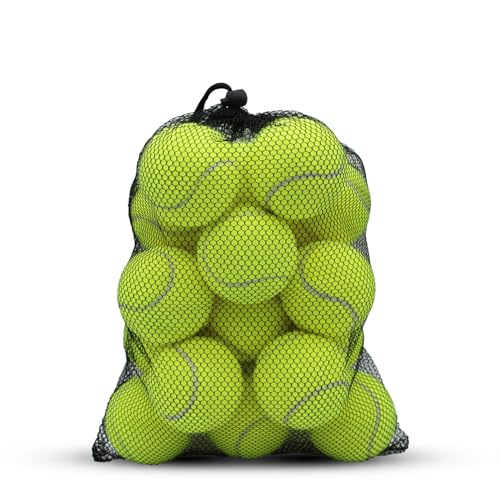 SHYUJAJIE Tennis Balls, 20 Pack Training Tennis Balls,High Elasticity Practice Tennis for Beginner, Exercise Playing Balls for Pet Dog - color: Yellow