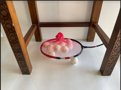 Table Tennis Ball Picker