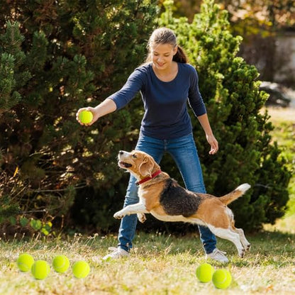 Treeroot 16/30/40/60 Pcs Tennis Balls, High Elasticity Tennis Balls Bulk, Comes with a Portable Mesh Bag, Tennis Ball for Dogs, Suitable for Beginner Training Ball, Durable & Bounce