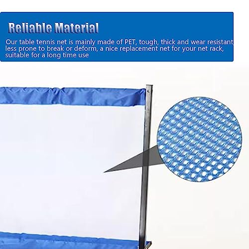 Movable Ping Pong Practice Net, Professional Table Tennis Ball Collector for Multi-Ball Drills or Robot Serve Launcher Practice, Easy Set Up