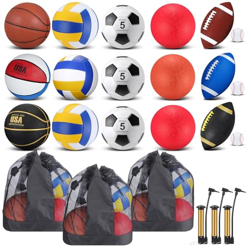 Leyndo 18 Pcs Sport Balls Bulk Set Basketball Football Volleyball Soccer Playground Baseball with Sport Equipment Bag Pump for Adults Gifts Outdoor Indoor - color: Multicolor