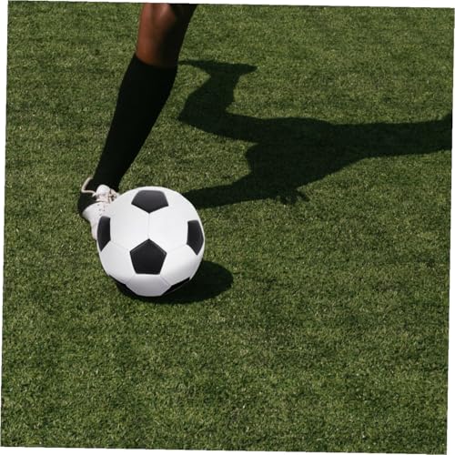 GALPADA Training Soccer Ball Size 5 Pu Machine-Stitched Outdoor Football for Adults and Youth Practice Sports Equipment