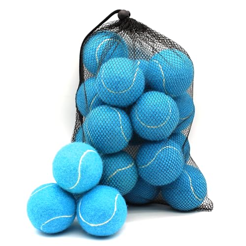Swingers Tennis Balls,Training Exercise Balls for Pet Dog, High Elasticity Practice Tennis Balls for Beginner, with Mesh Carry Bag Easy to Transport - color: Light Blue, size: 20 PACK