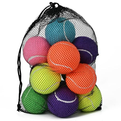 INSUM Bulk Tennis Balls for Beginner – 12 Pack High Elasticity Practice Tennis Balls with Mesh Bag, Suit for Pet Dog Training, Fetching - color: Mixed-N